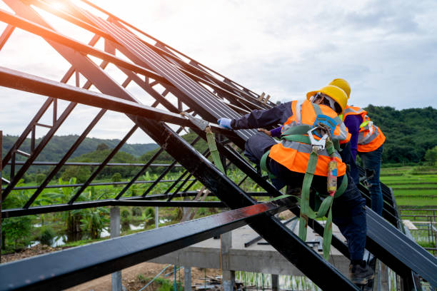 Best Roof Maintenance Services  in Monte Alto, TX