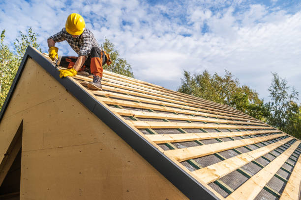 Best Metal Roofing Contractor  in Monte Alto, TX