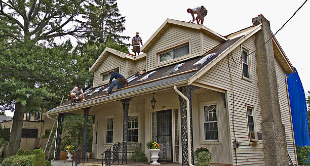 Best Roof Replacement Cost  in Monte Alto, TX