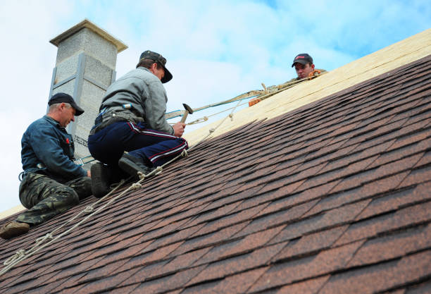 Best Best Roofing Contractors  in Monte Alto, TX