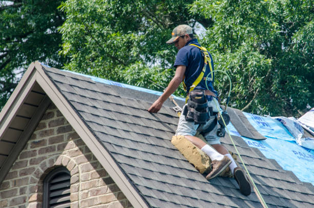 Best Storm Damage Roof Repair  in Monte Alto, TX
